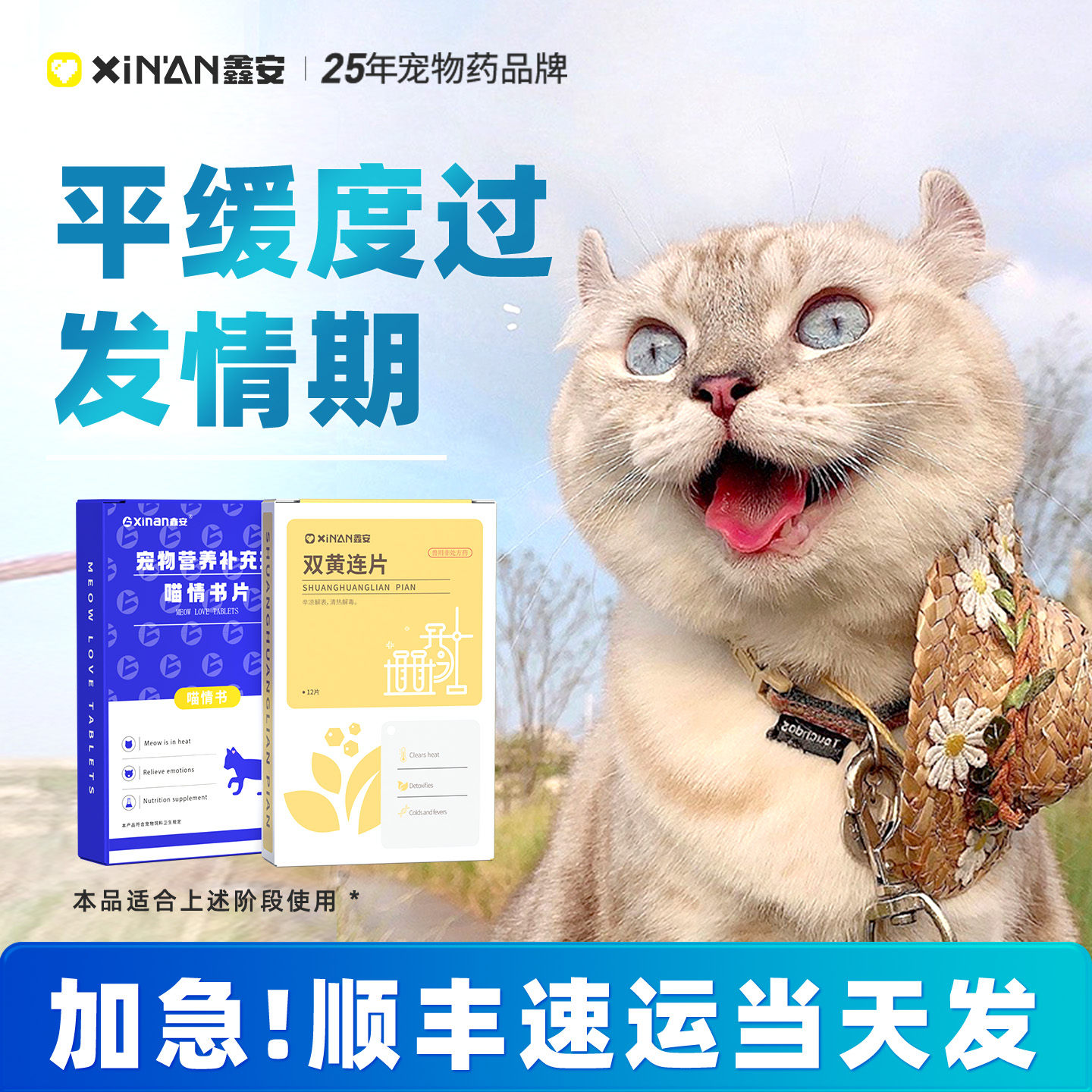 鑫安喵情书猫咪专用抑情