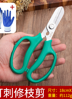 TUPI-SK5花剪修枝剪刀剪枝专用剪刀花卉枝嫁接园艺剪园林专用工具