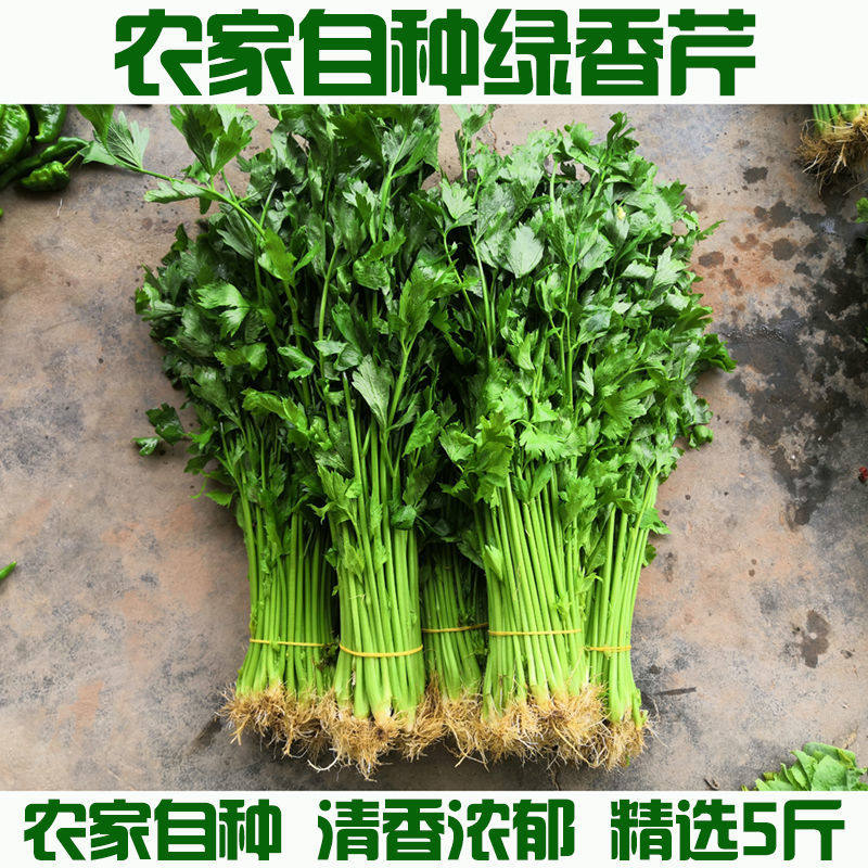 农家蔬菜新鲜芹菜根小芹菜5斤西芹香芹青菜蔬菜农家自种包邮