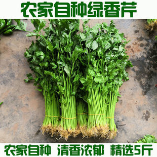 农家蔬菜新鲜芹菜根小芹菜5斤西芹香芹青菜蔬菜农家自种包邮