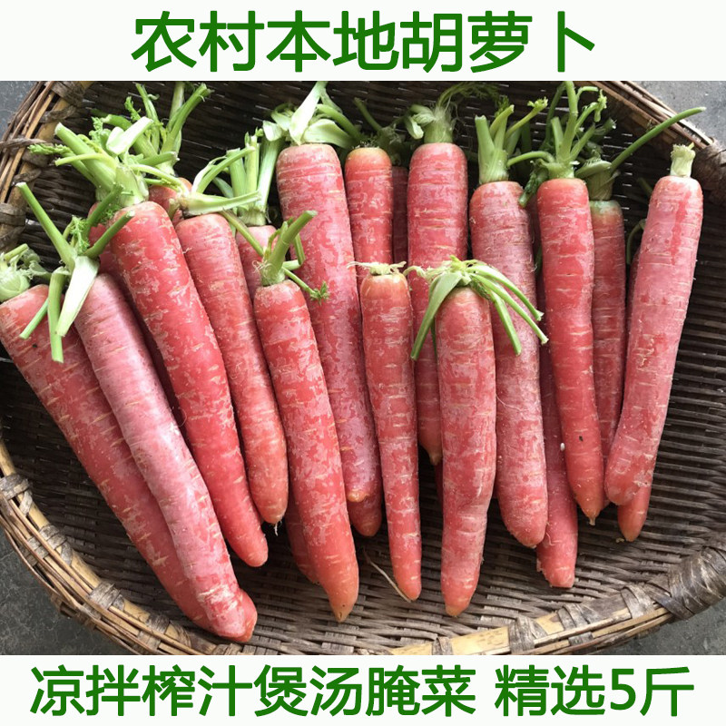 湖北新鲜胡萝卜小红萝卜农家自种沙地迷你水果甜胡萝卜泡菜洗净发,水产肉类/新鲜蔬果/熟食,萝卜/胡萝卜,淘宝优惠券,粉丝福利购,淘宝优惠卷