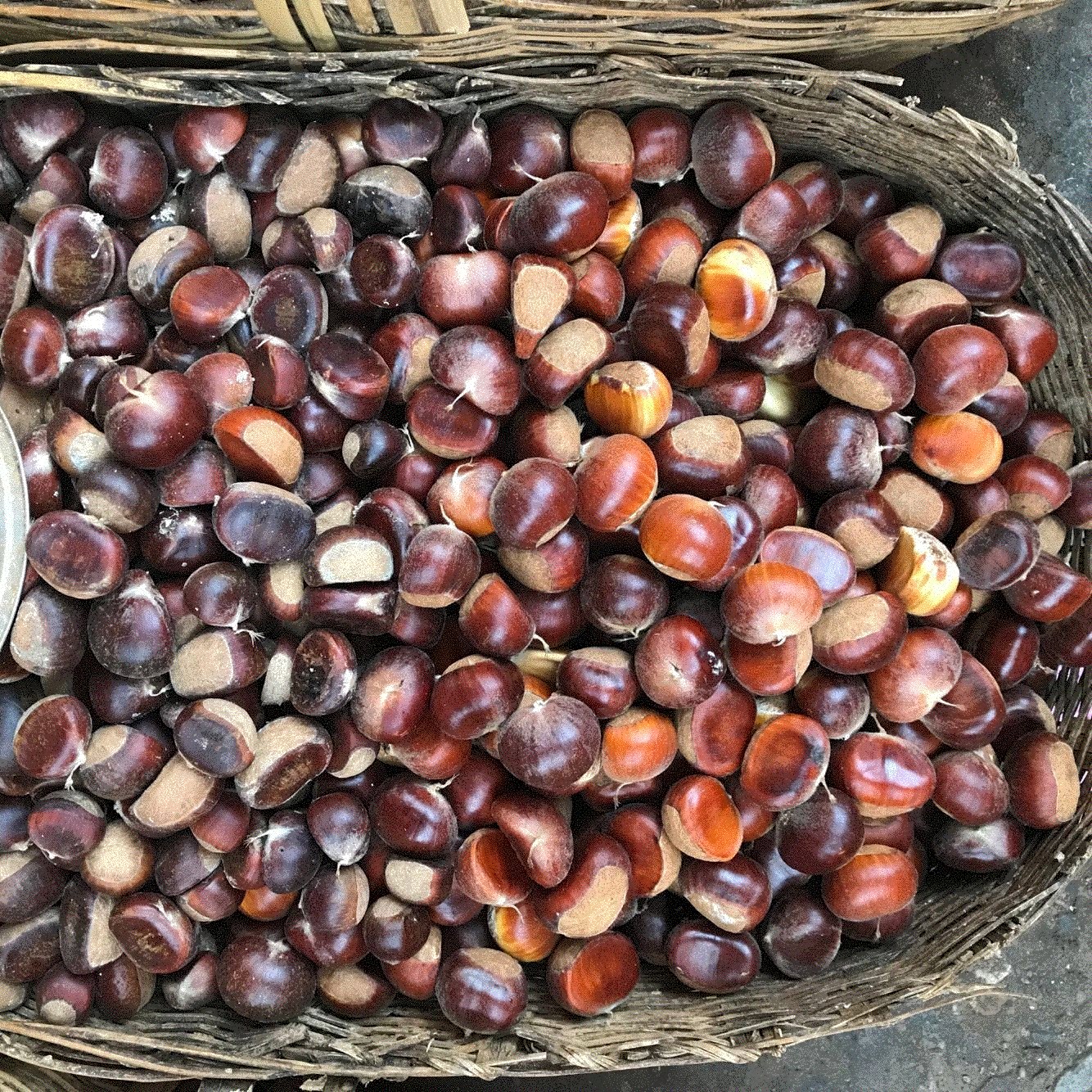 新鲜板栗 生板栗 板栗仁现摘当季鲜栗子毛栗子农家自种包邮