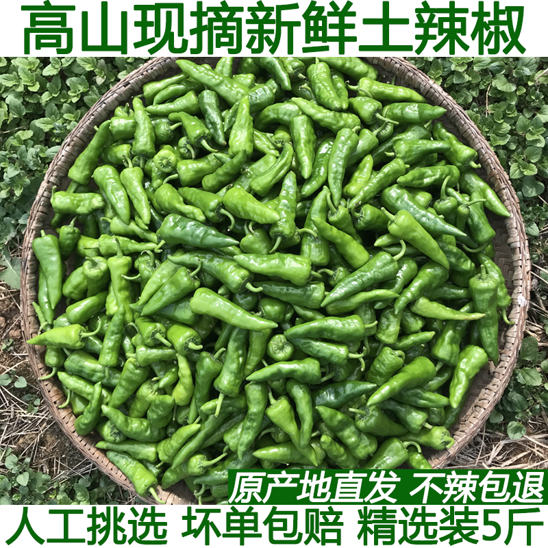 超辣薄皮青辣椒土辣椒余干椒香辣