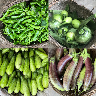 农家新鲜蔬菜辣椒黄瓜番茄