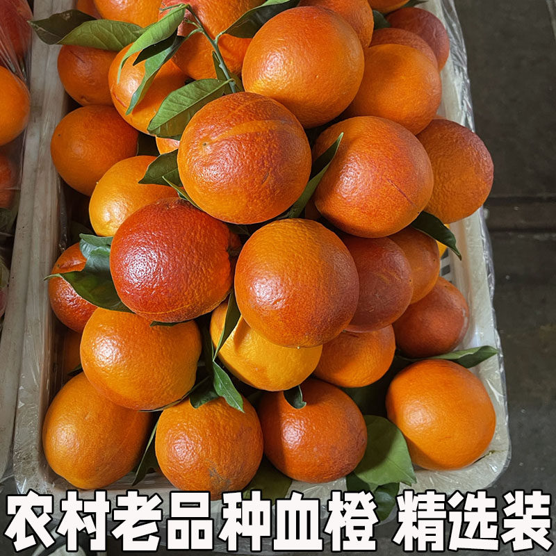 湖北秭归农家自种血橙雪橙水果现摘薄皮老品种血橙精选装
