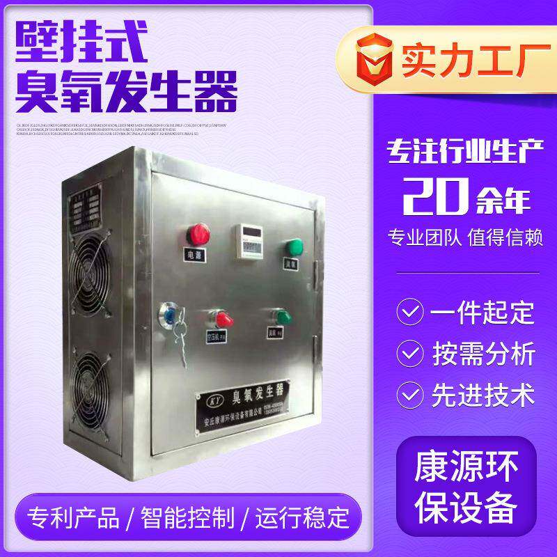 壁挂式臭氧发生器 食品厂车间消毒臭氧机 宾馆空气杀菌臭氧发生器