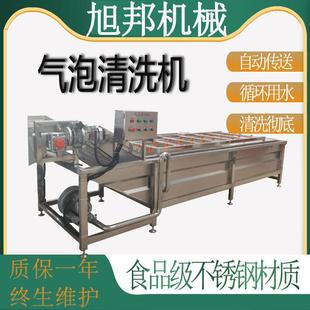 油桃鼓浪气泡清洗机 链板式茄子银耳洗菜机 喷淋式粽叶清洗设备