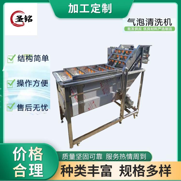 商用草莓蓝莓气泡清洗机 食品包装袋去污设备 工业小米大米清洗机