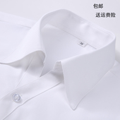 有加大码 春秋女士净面纯白色V领短袖 工作服衬衣寸衫 修身 衬衫 女式