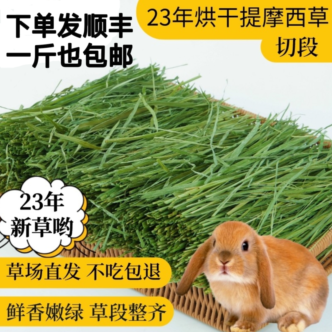 烘干北提摩西草干草段龙猫粮草兔子草荷兰猪牧草饲料豚鼠磨牙提草