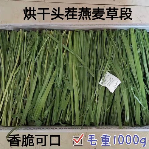 兔子提摩西烘干燕麦草专用饲料