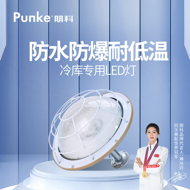 220v防水防尘超强光防爆照明灯图片