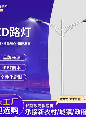 led灯市电双臂高杆灯投光灯路灯防水新农村户外照明高杆灯带