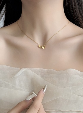 两只蝴蝶项链女款2024新款轻奢锁骨链高级感脖颈链不掉色