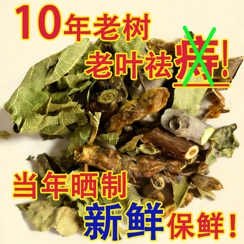 老树无花果干叶祛痔仓肉球熏洗方