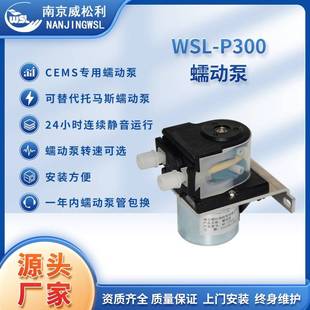 源头工厂直销WSL P300蠕动泵在线监测配件真空排水泵
