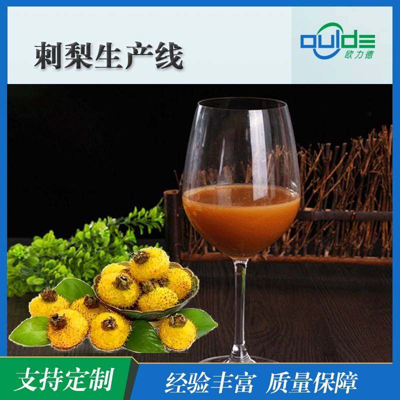 厂家直供大小型果汁果酱饮料刺梨浊汁全自动生产线,清洗/食品/商业设备,其他食品加工设备,淘宝优惠券,粉丝福利购,淘宝优惠卷