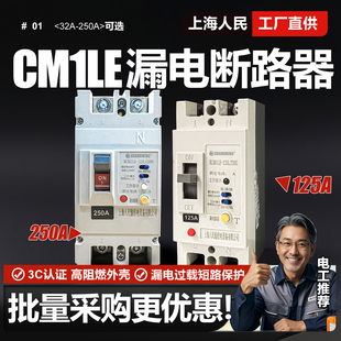 220V 125A 250A空气开关2P 100A 上海人民CM1LE单相漏电断路器63A