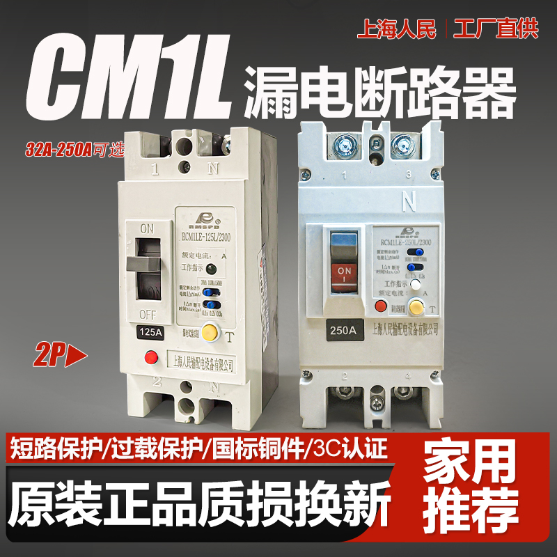 CM1LE单相2P漏电断路器63A 80A 100A 125A 220V 250A空气开关160A