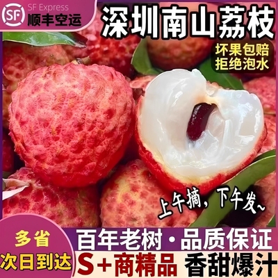 深圳南山糯米糍荔枝5斤当季现摘现发新鲜水果礼品盒特产顺丰整箱