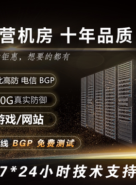 湖北高防BGP秒解无视CC/DDOS网站游戏微端云主机物理服务器出租用