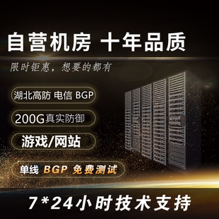 湖北高防BGP秒解无视CC/DDOS网站游戏微端云主机物理服务器出租用