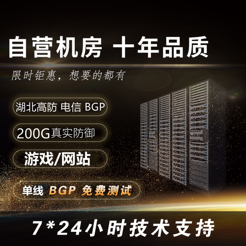 湖北高防BGP秒解无视CC/DDOS网站游戏微端云主机物理服务器出租用