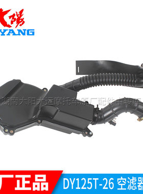 大阳摩托车原厂配件DY125T-16/16A/26/26A格格泰山空气滤芯滤清器