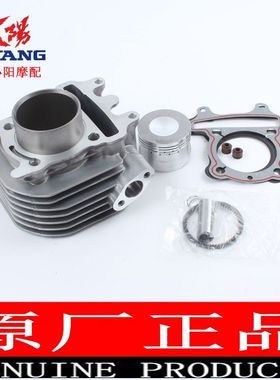 大阳摩托车原厂配件DY125T-26格格DY125T-16泰山套缸活塞环缸体垫