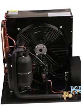 TFHT2511ZBR  LTAGZ2516ZBR冷冻机 进口法国泰康敞开式风冷 机组