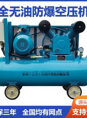全无油防爆空压机静音bt4油库加油站活塞式粉尘ct4空气压缩机小型