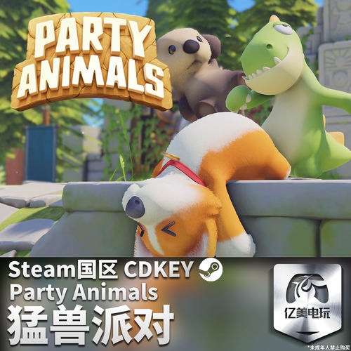 Steam国区激活码CDKEY