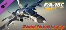 Steam 正版 PC 游戏 F/A-18C: Aggressors BFM Campaign  国区 礼物