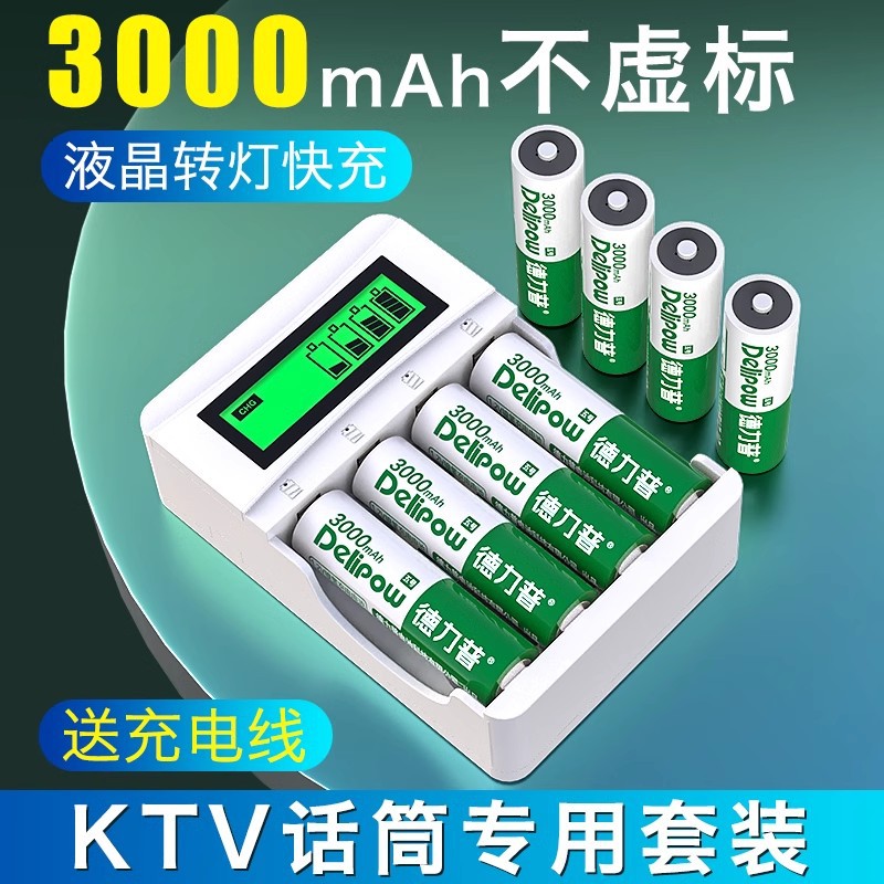 德力普5号充电电池套装