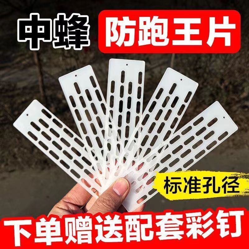 中蜂防跑片蜂王多功能养蜂