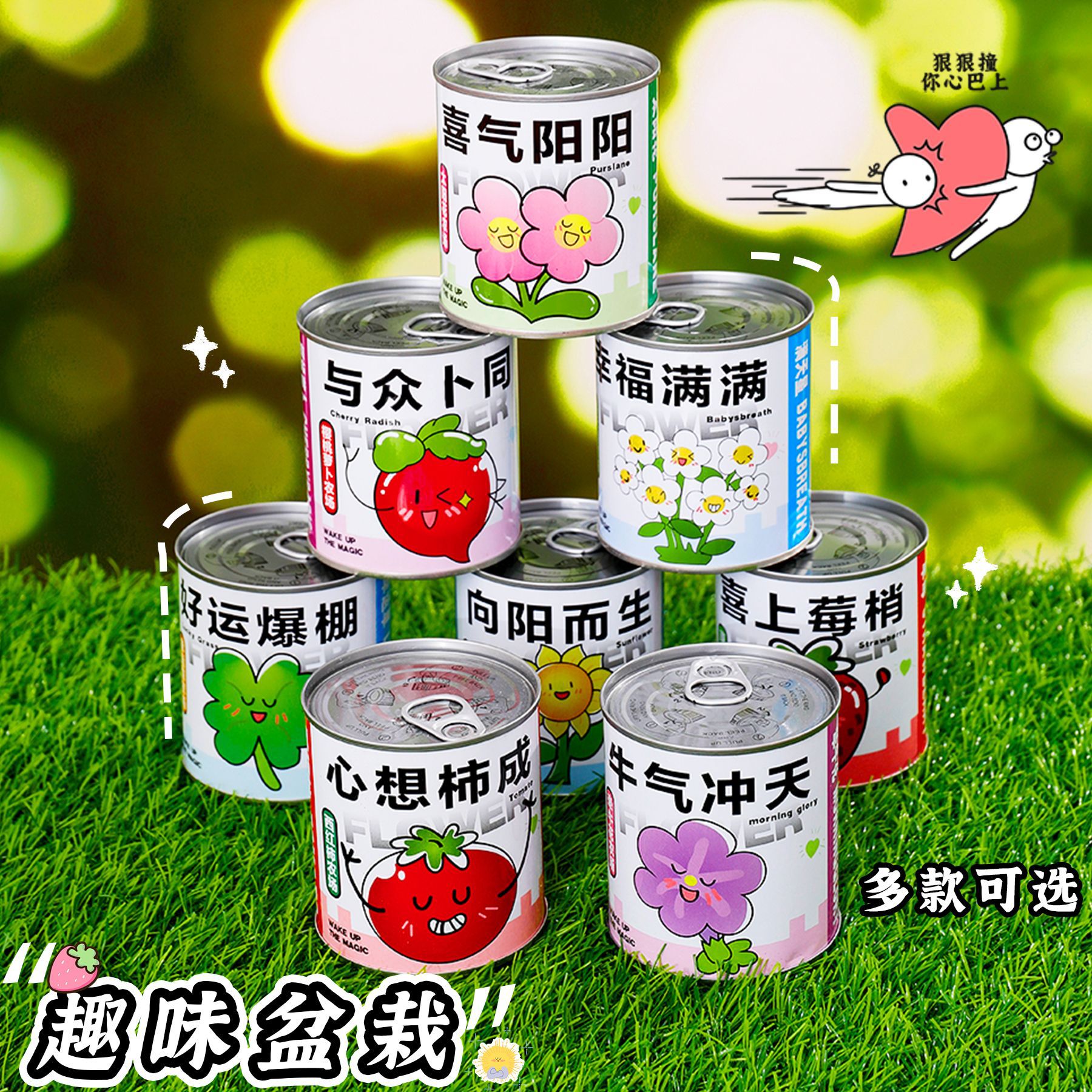 儿童种植易拉罐盆栽室内绿植