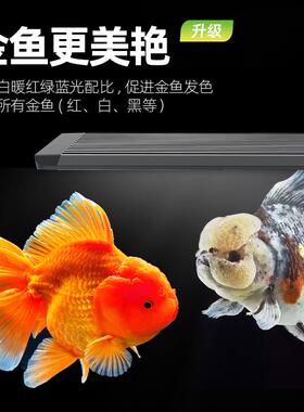 新款鱼缸专业爆藻灯I7PLUS金鱼灯LED防水爆藻增色兰寿晒包邮