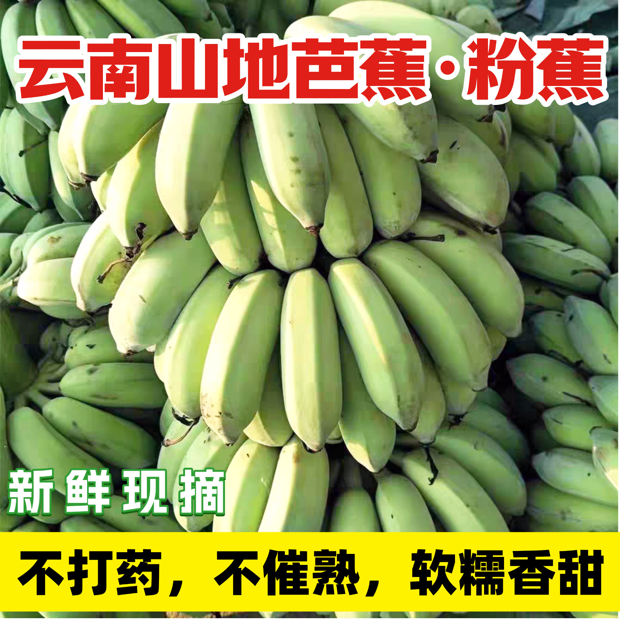 云南河口芭蕉粉蕉西贡蕉新鲜水果现摘现发孕妇水果无催熟