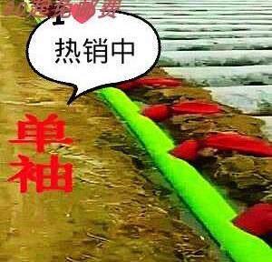 Seepage equipment Furrow Tape gardens With sleeves Agriculture Piping Fire hose Pouring pipe necessary thickeningin the Agricultural Machinery/Farm tools/Plastic sheeting , Agricultural Tools , Irrigation Tools  category - from Buy2taobao.com to provide professional Taobao agent buy service