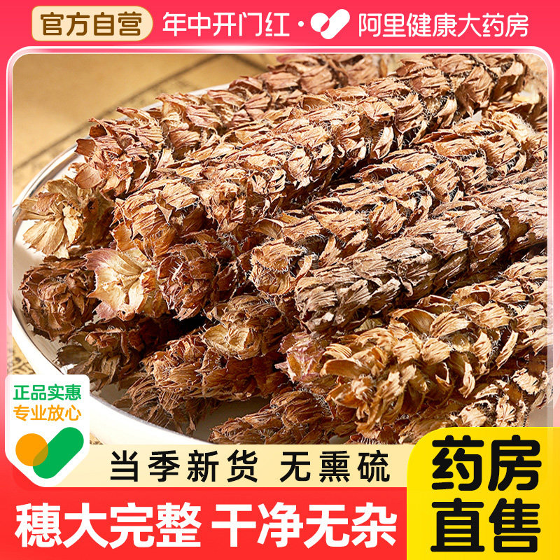 药房自营夏枯草蒲公英白菊花黄柏