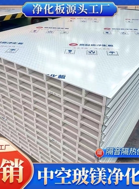 中空玻镁板防火彩钢板隔墙板无尘车间净化板吊顶板洁净板定制