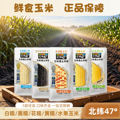 北纬47度真空包装鲜食玉米家庭