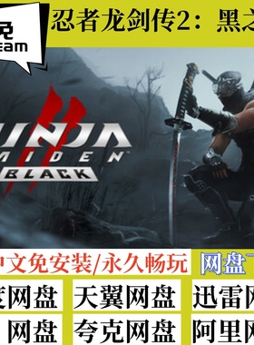 免steam版忍者龙剑传2黑之章 NINJA GAIDEN 2 Black中文电脑游戏
