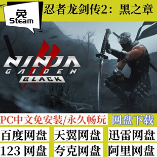 GAIDEN 免steam版 忍者龙剑传2黑之章 NINJA Black中文电脑游戏