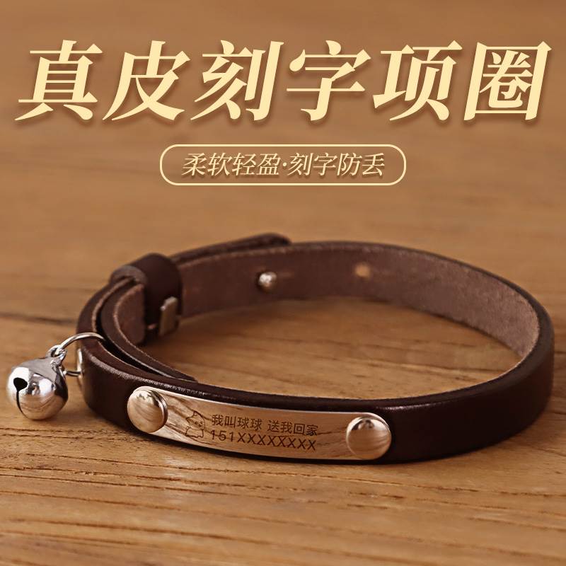 猫咪刻字项圈猫铃铛防走失脖子饰品狗狗脖圈幼猫防丢宠物项链猫牌