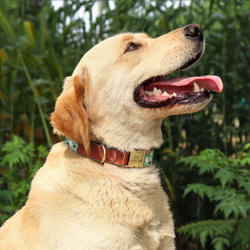 狗狗项圈宠物脖圈铃铛可爱遛狗颈圈中小型犬狗圈狗牌定制刻字防丢