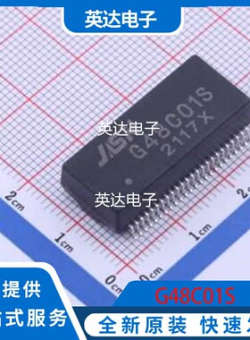 G48C01S 原装正品 SMD-48P,27.8x12.2mm