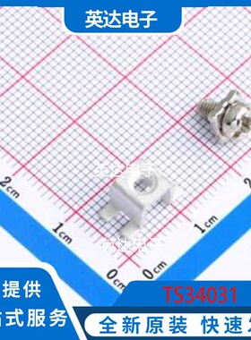 TS34031   原装正品   焊接端子  1端子＋1螺丝   现货可直拍