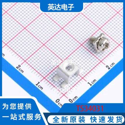 TS34031   原装正品   焊接端子  1端子＋1螺丝   现货可直拍