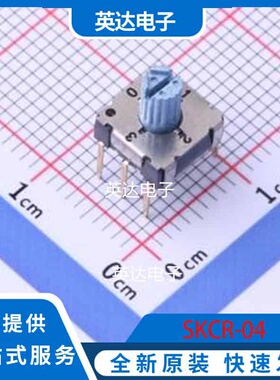 SKCR-04 插件 原装正品